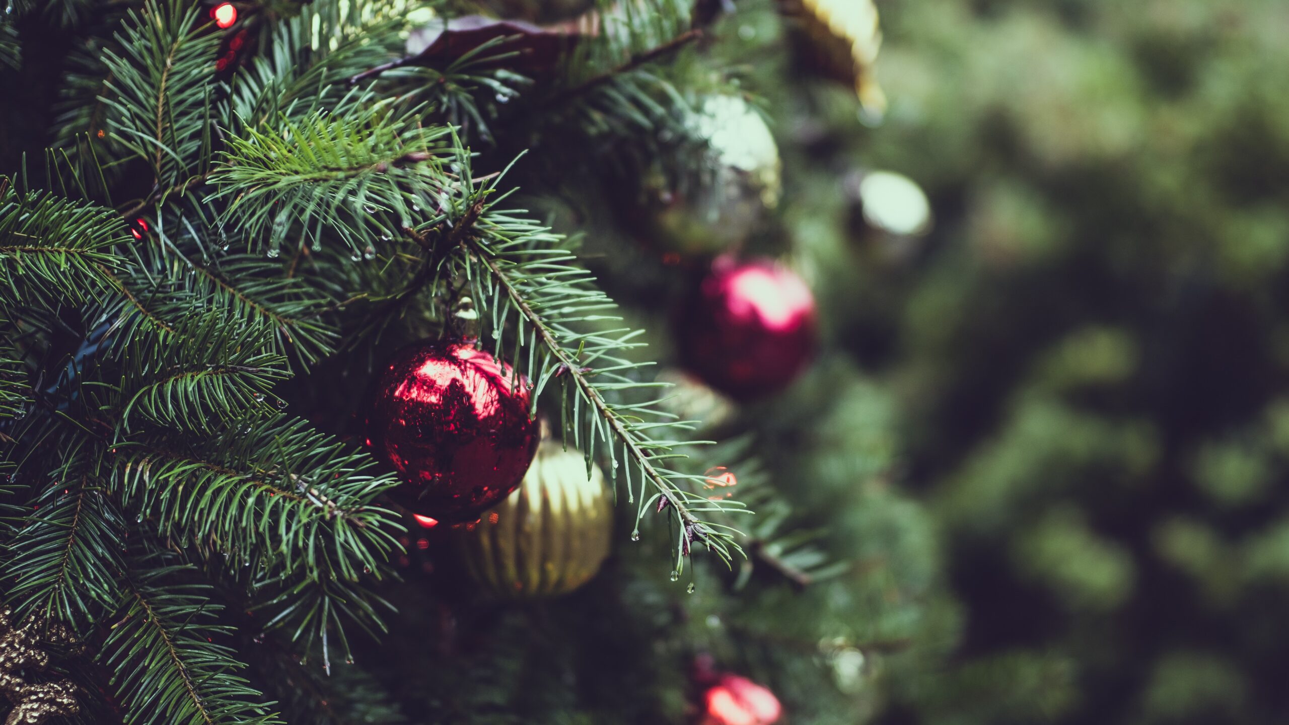 Christmas Eve Services
